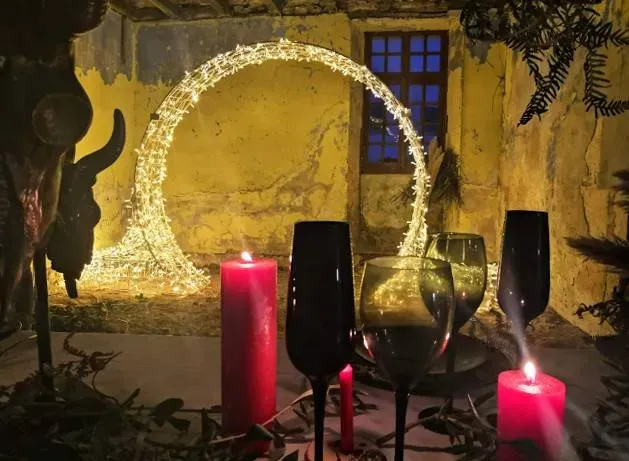 arches-florales-et-lumineuses