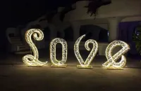 arches-florales-et-lumineuses